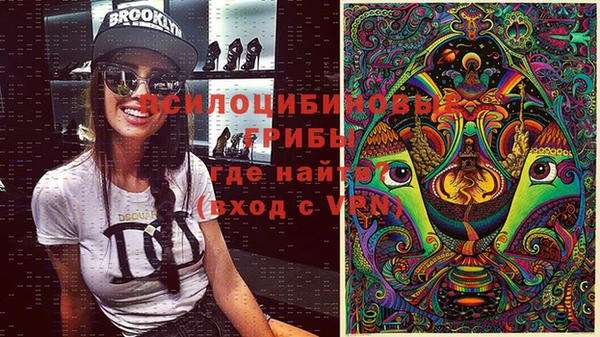 гашиш Абаза