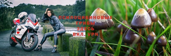 альфа пвп Осинники
