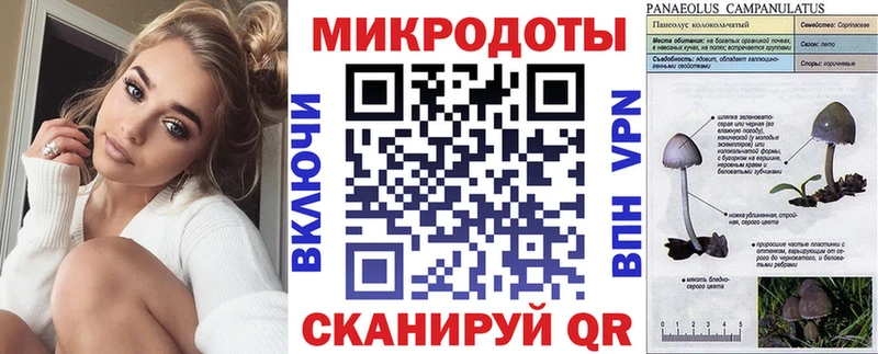 shop официальный сайт  Инта  Псилоцибиновые грибы мухоморы 